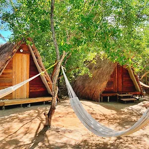 https://la-aldea-holbox-cabanas-y-camping.quintano-roohotels.com