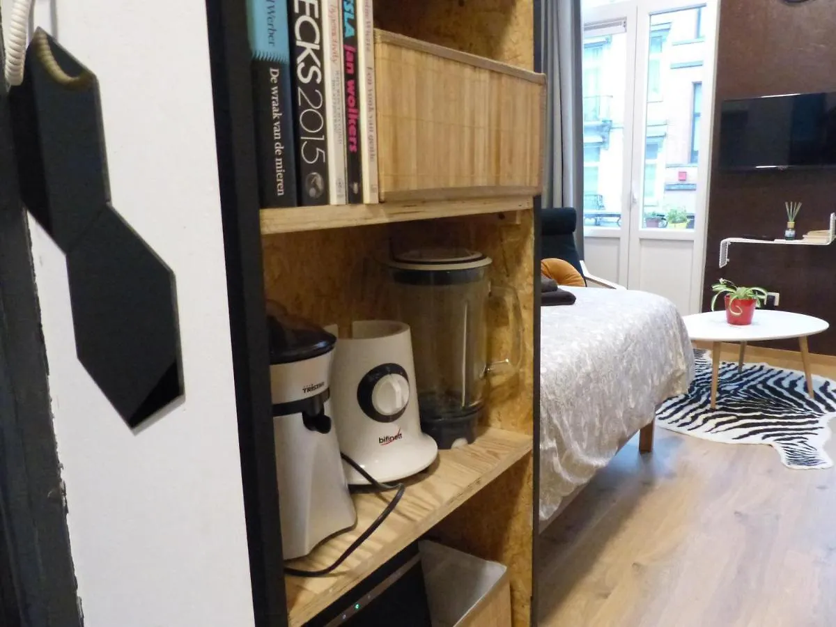 Superbe Studio Au 1Er Etage, Proche De La Gare Du Midi Brussel 0*,  België