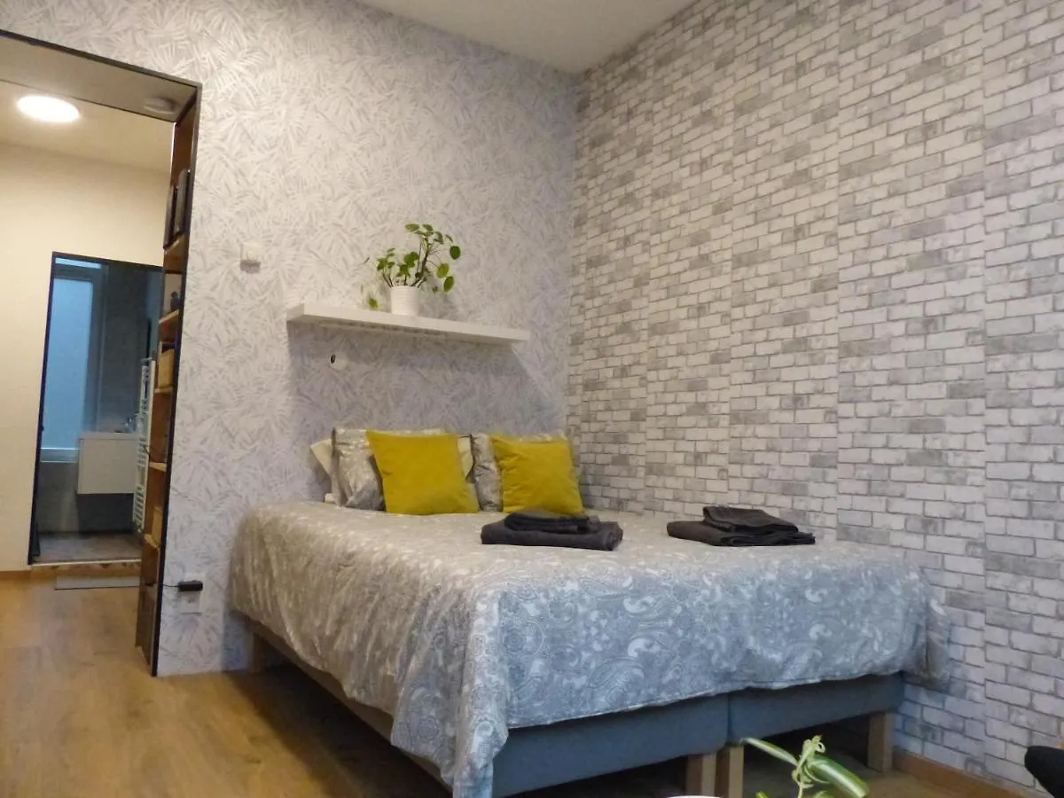 Superbe Studio Au 1Er Etage, Proche De La Gare Du Midi Brussel